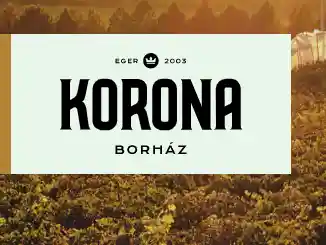 koronaborhaz.hu